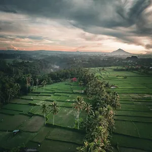 Ayu Duwur Beji *** Ubud