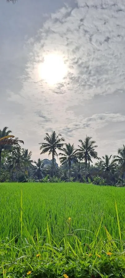 Bed & Breakfast Galang Hari Villa Ubud