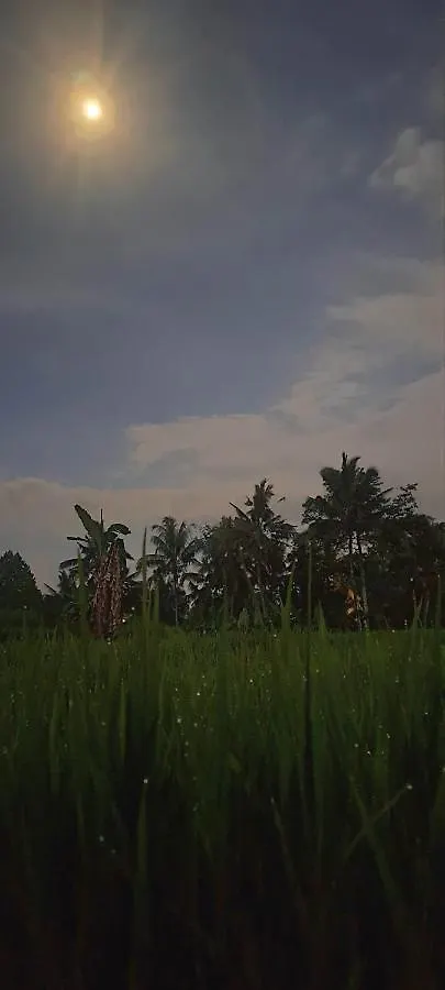 *** Bed & Breakfast Galang Hari Villa Ubud Indonesia