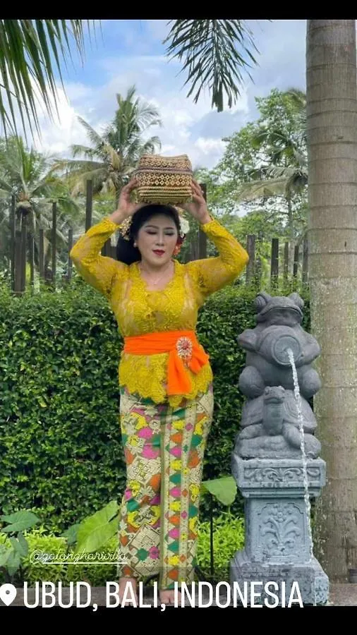 Galang Hari Villa Ubud Bed & Breakfast