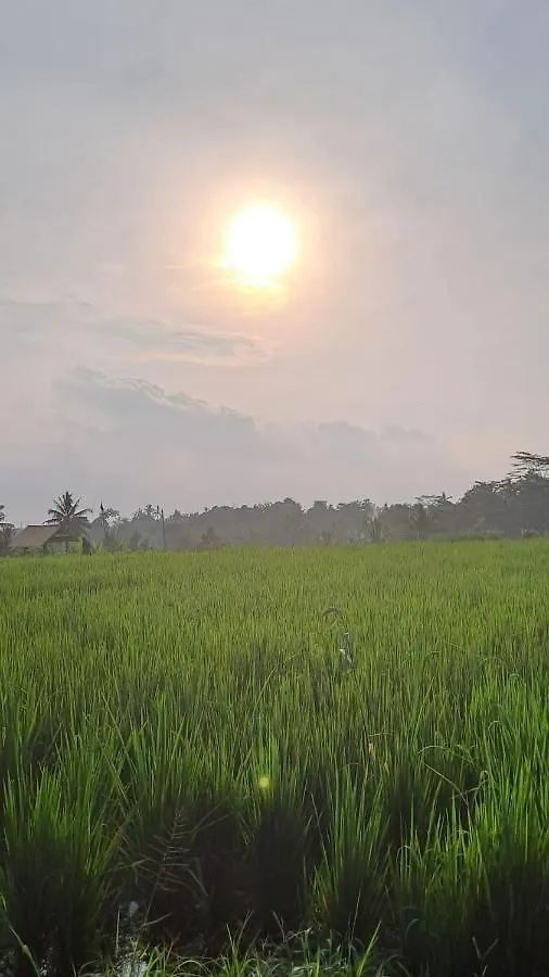 *** Bed & Breakfast Galang Hari Villa Ubud Indonesië