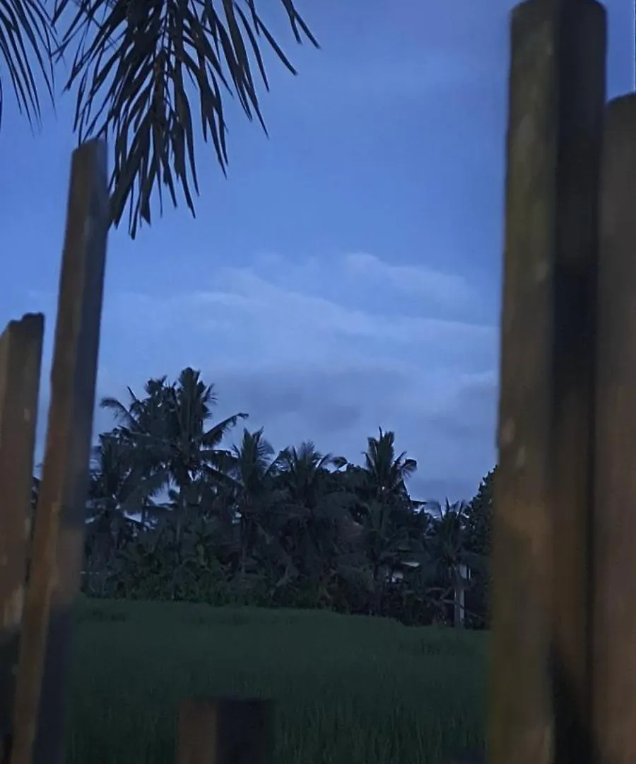 Galang Hari Villa Ubud 3*,  Indonesië