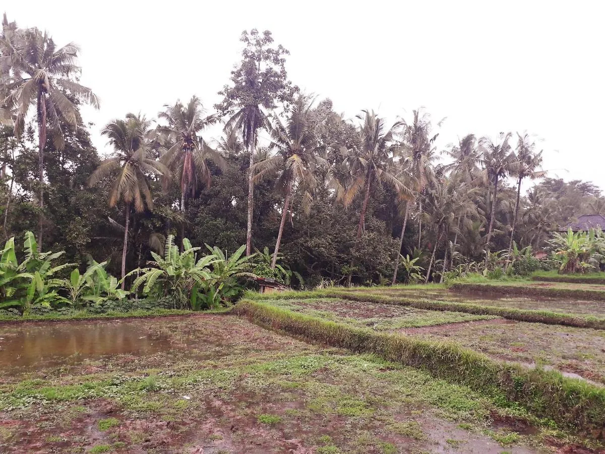 Bed & Breakfast Galang Hari Villa Ubud